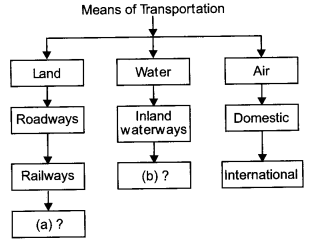 MCQ-Questions-for-Class-10-Geography-Chapter-5-Lifelines-of-the-National-Economy-with-Answers-1
