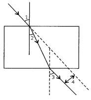 MCQ Questions for Class 10 Science Chapter 10 Light Reflection and Refraction with Answers 10