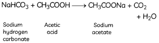 MCQ Questions for Class 10 Science Chapter 2 Acids, Bases and Salts with Answers 3