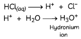 MCQ Questions for Class 10 Science Chapter 2 Acids, Bases and Salts with Answers 5
