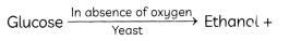 MCQ-Questions-for-Class-10-Science-Chapter-6-Life-Processes-with-Answers-1