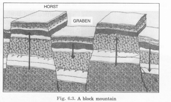 Major Landforms of the Earth Class 6 Extra Questions Geography Chapter 6 L - Q1(i)