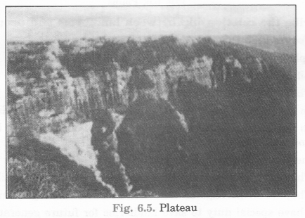 Major Landforms of the Earth Class 6 Extra Questions Geography Chapter 6 L - Q3