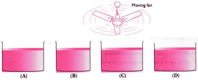 Matter in Our Surroundings Class 9 Extra Questions Science Chapter 1 3