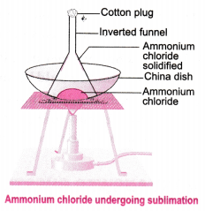 Matter in Our Surroundings Class 9 Extra Questions Science Chapter 1 4