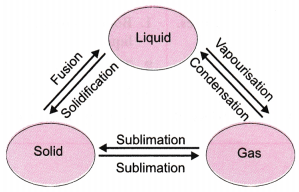 Matter in Our Surroundings Class 9 Extra Questions Science Chapter 1 5