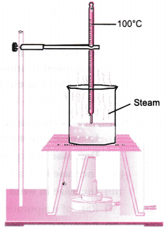 Matter in Our Surroundings Class 9 Extra Questions Science Chapter 1 7