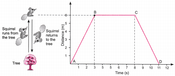 Motion Class 9 Extra Questions Science Chapter 8 29