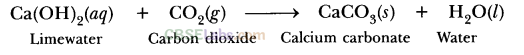NCERT Exemplar Class 10 Science Chapter 1 Chemical Reactions And Equations Img 20