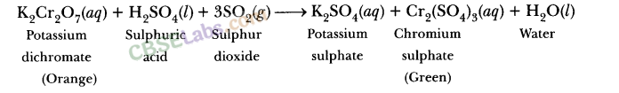 NCERT Exemplar Class 10 Science Chapter 1 Chemical Reactions And Equations Img 21