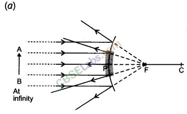 NCERT Exemplar Class 10 Science Chapter 10 Light Reflection and Refraction Img 5