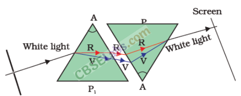 NCERT Exemplar Class 10 Science Chapter 11 Human Eye and Colourful World Img 3