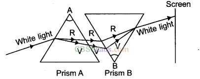 NCERT Exemplar Class 10 Science Chapter 11 Human Eye and Colourful World Img 4