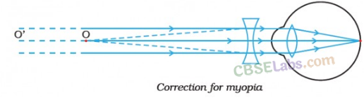 NCERT-Exemplar-Class-10-Science-Chapter-11-Human-Eye-and-Colourful-World-8