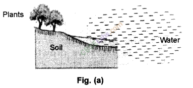 NCERT-Exemplar-Class-10-Science-Chapter-16-Management-of-Natural-Resources-1