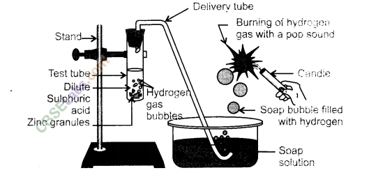 NCERT Exemplar Class 10 Science Chapter 2 Acids, Bases And Salts Img 15