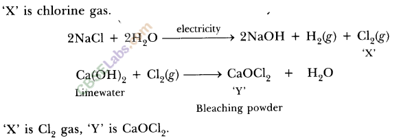 NCERT Exemplar Class 10 Science Chapter 2 Acids, Bases And Salts Img 4
