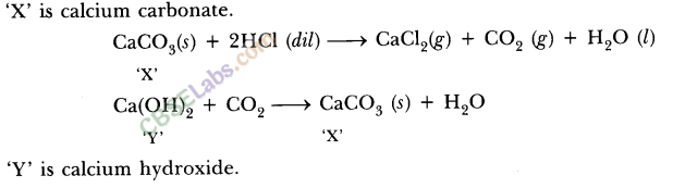 NCERT Exemplar Class 10 Science Chapter 2 Acids, Bases And Salts Img 5