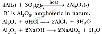 NCERT Exemplar Class 10 Science Chapter 3 Metals And Non-Metals Img 2