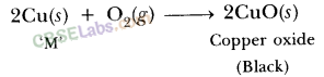 NCERT Exemplar Class 10 Science Chapter 3 Metals And Non-Metals Img 5