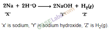 NCERT Exemplar Class 10 Science Chapter 3 Metals And Non-Metals Img 7