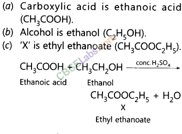 NCERT Exemplar Class 10 Science Chapter 4 Carbon and its Compounds Img 7