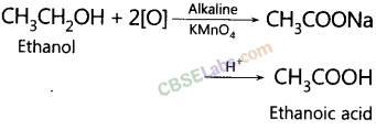 NCERT Exemplar Class 10 Science Chapter 4 Carbon and its Compounds Img 8