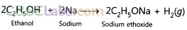 NCERT Exemplar Class 10 Science Chapter 4 Carbon and its Compounds Img 9