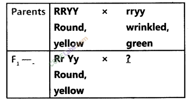 NCERT-Exemplar-Class-10-Science-Chapter-9-Heredity-and-Evolution-1
