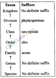 NCERT-Exemplar-Class-11-Biology-Chapter-1-The-Living-World-Img-1