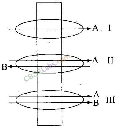 NCERT Exemplar Class 11 Biology Chapter 11 Transport in Plants Img 2