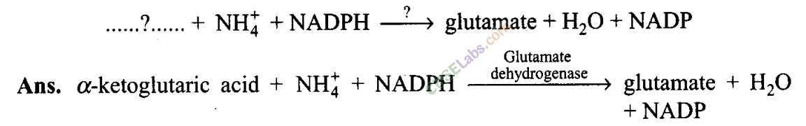 NCERT Exemplar Class 11 Biology Chapter 12 Mineral Nutrition Img 2