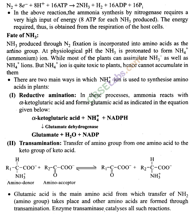 NCERT Exemplar Class 11 Biology Chapter 12 Mineral Nutrition Img 4