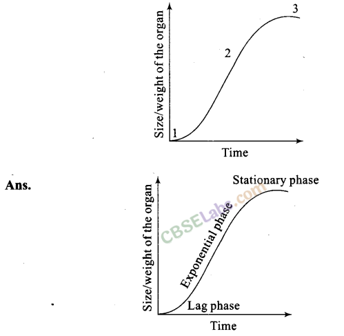 NCERT Exemplar Class 11 Biology Chapter 15 Plant Growth and Development Img 2