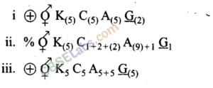 NCERT Exemplar Class 11 Biology Chapter 5 Morphology of Flowering Plants Img 4