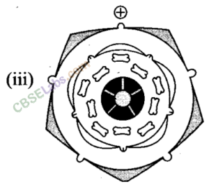 NCERT Exemplar Class 11 Biology Chapter 5 Morphology of Flowering Plants Img 6