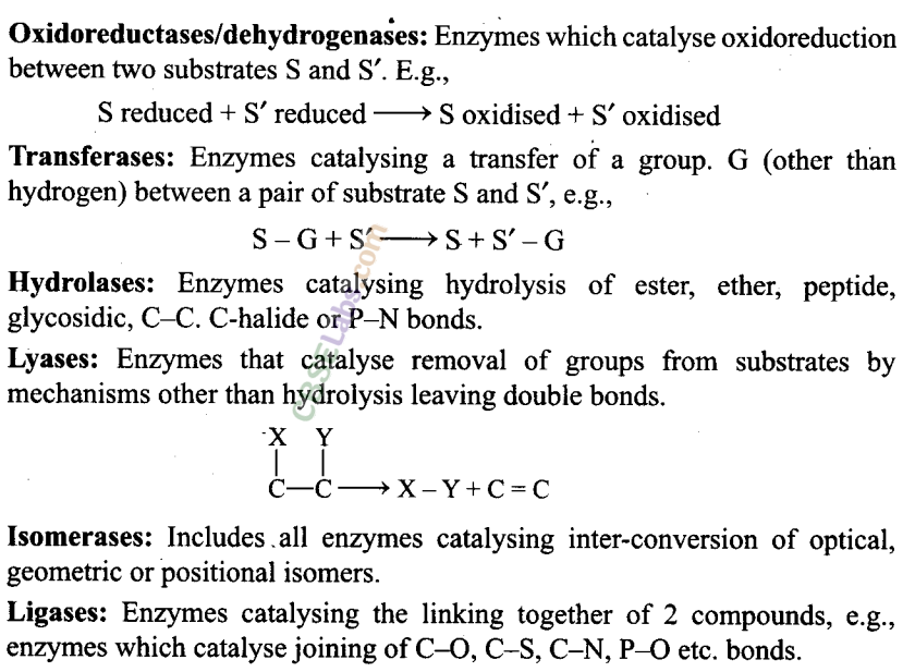 NCERT Exemplar Class 11 Biology Chapter 9 Biomolecules Img 6