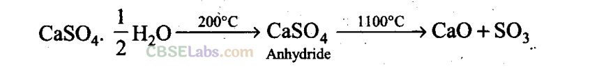 S Block NCERT Exemplar Chapter 10 Class 11