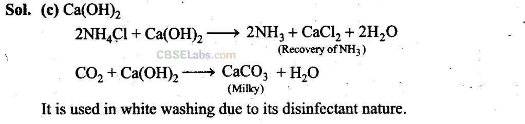 NCERT Exemplar Class 11 Chemistry Chapter 10 The S-Block Elements-1