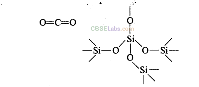 NCERT Exemplar Class 11 Chemistry Chapter 11 The p-Block Elements-10