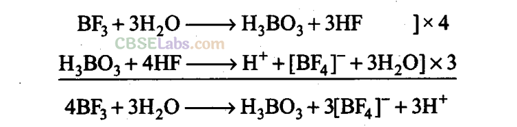 NCERT Exemplar Class 11 Chemistry Chapter 11 The p-Block Elements-14