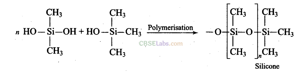 NCERT Exemplar Class 11 Chemistry Chapter 11 The p-Block Elements