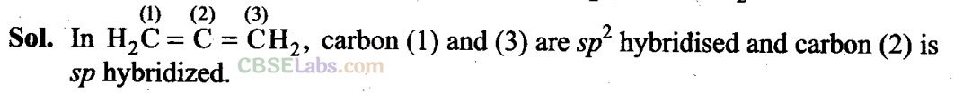 NCERT Exemplar Class 11 Chemistry Chapter 12 Organic Chemistry: Some Basic Principles and Techniques-28