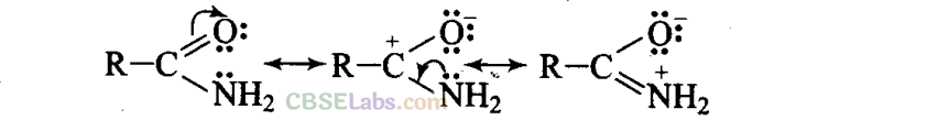 NCERT Exemplar Class 11 Chemistry Chapter 12 Organic Chemistry: Some Basic Principles and Techniques-43