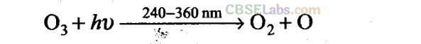 NCERT Exemplar Class 11 Chemistry Chapter 14 Environmental Chemistry-9