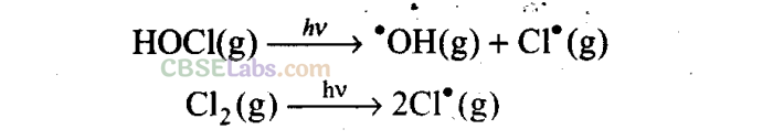 NCERT Exemplar Class 11 Chemistry Chapter 14 Environmental Chemistry-11