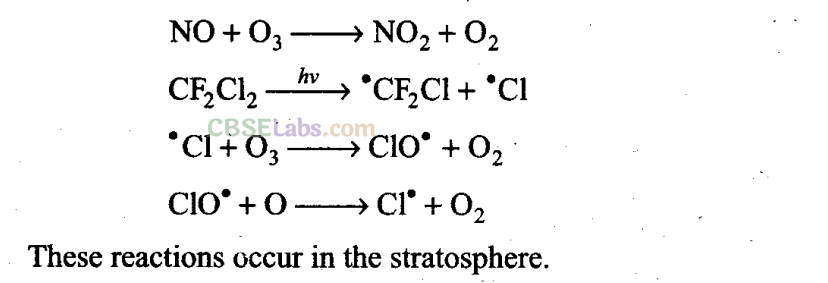 NCERT Exemplar Class 11 Chemistry Chapter 14 Environmental Chemistry-2