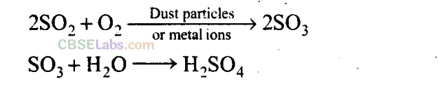 NCERT Exemplar Class 11 Chemistry Chapter 14 Environmental Chemistry-3
