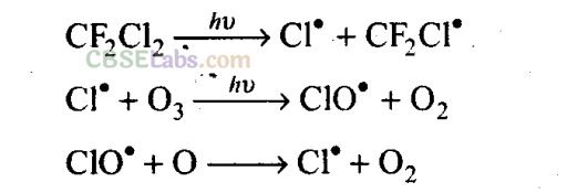 NCERT Exemplar Class 11 Chemistry Chapter 14 Environmental Chemistry-4