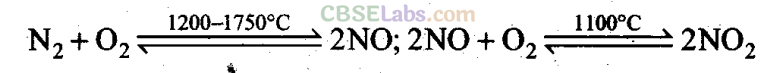 NCERT Exemplar Class 11 Chemistry Chapter 14 Environmental Chemistry-5